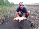 Соловьев Антон Алексеевич